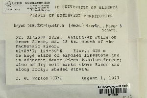  ( - CCDB-25691-E09)  @11 [ ] CreativeCommons - Attribution Non-Commercial Share-Alike (2018) Masha L. Kuzmina Canadian Centre for DNA Barcoding