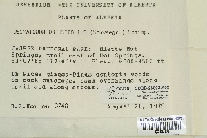  ( - CCDB-25692-A08)  @11 [ ] CreativeCommons - Attribution Non-Commercial Share-Alike (2018) Masha L. Kuzmina Canadian Centre for DNA Barcoding