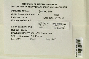  ( - CCDB-25694-B01)  @11 [ ] CreativeCommons - Attribution Non-Commercial Share-Alike (2018) Masha L. Kuzmina Canadian Centre for DNA Barcoding