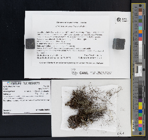  ( - CCDB-51017-C01)  @11 [ ] CreativeCommons - Attribution Non-Commercial Share-Alike (2025) Canadian Museum of Nature Canadian Museum of Nature