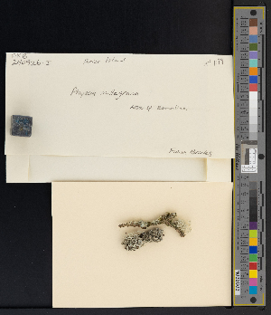  ( - CCDB-51018-A02)  @11 [ ] CreativeCommons - Attribution Non-Commercial Share-Alike (2025) Canadian Museum of Nature Canadian Museum of Nature