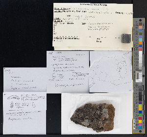  ( - CCDB-51018-A09)  @11 [ ] CreativeCommons - Attribution Non-Commercial Share-Alike (2025) Canadian Museum of Nature Canadian Museum of Nature