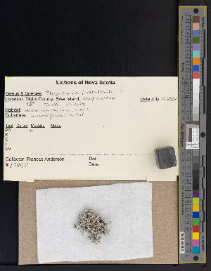  ( - CCDB-51018-A10)  @11 [ ] CreativeCommons - Attribution Non-Commercial Share-Alike (2025) Canadian Museum of Nature Canadian Museum of Nature