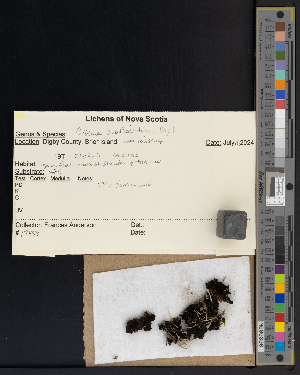  ( - CCDB-51018-C05)  @11 [ ] CreativeCommons - Attribution Non-Commercial Share-Alike (2025) Canadian Museum of Nature Canadian Museum of Nature