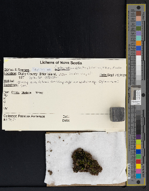  ( - CCDB-51018-C10)  @11 [ ] CreativeCommons - Attribution Non-Commercial Share-Alike (2025) Canadian Museum of Nature Canadian Museum of Nature