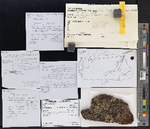  ( - CCDB-51018-E03)  @11 [ ] CreativeCommons - Attribution Non-Commercial Share-Alike (2025) Canadian Museum of Nature Canadian Museum of Nature