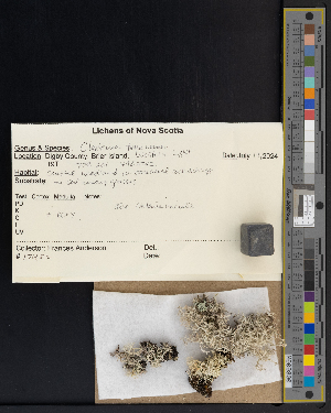  ( - CCDB-51018-E05)  @11 [ ] CreativeCommons - Attribution Non-Commercial Share-Alike (2025) Canadian Museum of Nature Canadian Museum of Nature