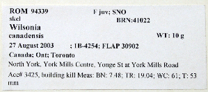 ( - 1B-4254)  @11 [ ] CreativeCommons - Attribution (2010) Erika Tavares Royal Ontario Museum