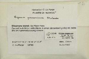  ( - CCDB-25686-A01)  @11 [ ] CreativeCommons - Attribution (2018) Masha L. Kuzmina Centre for Biodiversity Genomics