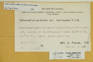  ( - CCDB-25686-E08)  @11 [ ] CreativeCommons - Attribution Non-Commercial Share-Alike (2018) Masha L. Kuzmina Canadian Centre for DNA Barcoding