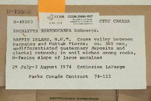  ( - CCDB-25686-G07)  @11 [ ] CreativeCommons - Attribution Non-Commercial Share-Alike (2018) Masha L. Kuzmina Canadian Centre for DNA Barcoding