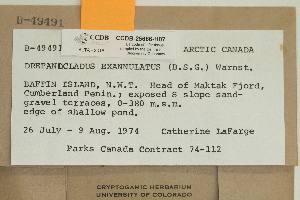  ( - CCDB-25686-H07)  @11 [ ] CreativeCommons - Attribution Non-Commercial Share-Alike (2018) Masha L. Kuzmina Canadian Centre for DNA Barcoding