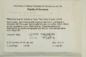  ( - CCDB-25687-B04)  @11 [ ] CreativeCommons - Attribution Non-Commercial Share-Alike (2018) Masha L. Kuzmina Canadian Centre for DNA Barcoding