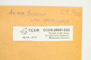  ( - CCDB-25687-E02)  @11 [ ] CreativeCommons - Attribution Non-Commercial Share-Alike (2018) Masha L. Kuzmina Canadian Centre for DNA Barcoding