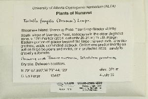  ( - CCDB-25687-E09)  @11 [ ] CreativeCommons - Attribution Non-Commercial Share-Alike (2018) Masha L. Kuzmina Canadian Centre for DNA Barcoding