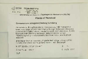  ( - CCDB-25687-F10)  @11 [ ] CreativeCommons - Attribution Non-Commercial Share-Alike (2018) Masha L. Kuzmina Canadian Centre for DNA Barcoding
