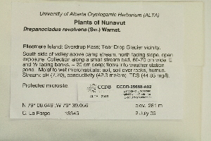  ( - CCDB-25688-A02)  @11 [ ] CreativeCommons - Attribution Non-Commercial Share-Alike (2018) Masha L. Kuzmina Canadian Centre for DNA Barcoding