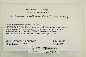  ( - CCDB-25688-A05)  @11 [ ] CreativeCommons - Attribution Non-Commercial Share-Alike (2018) Masha L. Kuzmina Canadian Centre for DNA Barcoding