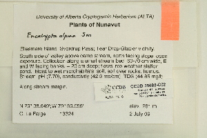  ( - CCDB-25688-C02)  @11 [ ] CreativeCommons - Attribution Non-Commercial Share-Alike (2018) Masha L. Kuzmina Canadian Centre for DNA Barcoding