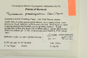  ( - CCDB-25688-G02)  @11 [ ] CreativeCommons - Attribution Non-Commercial Share-Alike (2018) Masha L. Kuzmina Canadian Centre for DNA Barcoding