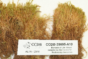  ( - CCDB-25695-A10)  @11 [ ] CreativeCommons - Attribution Non-Commercial Share-Alike (2018) Masha L. Kuzmina Canadian Centre for DNA Barcoding