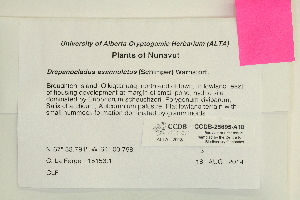  ( - CCDB-25695-A10)  @11 [ ] CreativeCommons - Attribution Non-Commercial Share-Alike (2018) Masha L. Kuzmina Canadian Centre for DNA Barcoding