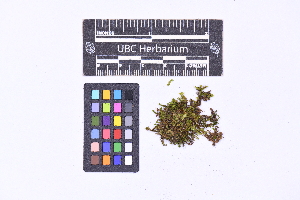  ( - CCDB-21224 A09)  @11 [ ] CC BY-NC-ND (2025) Connor Wardrop Beaty Biodiversity Museum, University of British Columbia