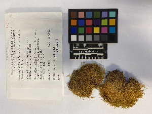  ( - UBC-B-B231761)  @11 [ ] (by-nc) (2023) Unspecified University of British Columbia Herbarium