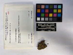  ( - UBC-B-B118992)  @11 [ ] (by-nc) (2023) Unspecified University of British Columbia Herbarium