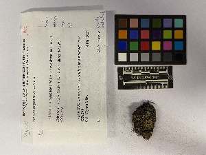  ( - UBC-B-B191554)  @11 [ ] (by-nc) (2023) Unspecified University of British Columbia Herbarium