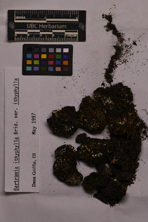  ( - UBC-B-B138745)  @11 [ ] (by-nc) (2025) Unspecified University of British Columbia Herbarium