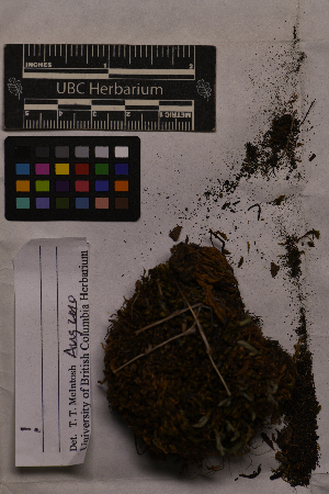  ( - UBC-B-B2987)  @11 [ ] (by-nc) (2025) Unspecified University of British Columbia Herbarium