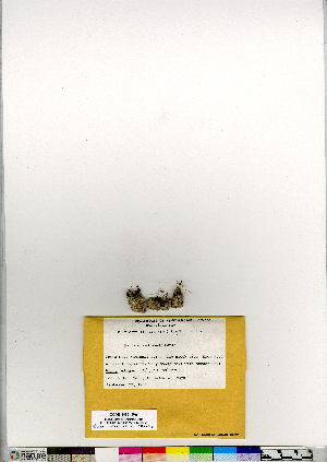  ( - CCDB-24821-F06)  @11 [ ] CreativeCommons - Attribution (2015) Canadian Museum of Nature Canadian Museum of Nature