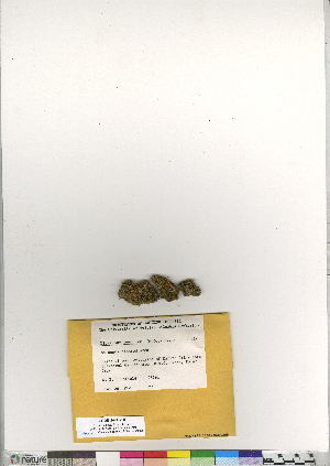  ( - CCDB-24821-F07)  @11 [ ] CreativeCommons - Attribution (2015) Canadian Museum of Nature Canadian Museum of Nature