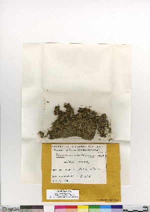  ( - CCDB-24821-G03)  @11 [ ] CreativeCommons - Attribution (2015) Canadian Museum of Nature Canadian Museum of Nature