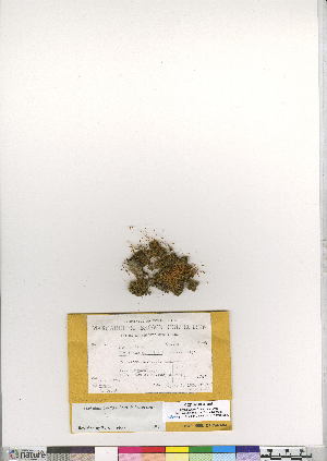  ( - CCDB-24821-H08)  @11 [ ] CreativeCommons - Attribution (2015) Canadian Museum of Nature Canadian Museum of Nature