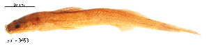  ( - stri-3653)  @12 [ ] Unspecified (default): All Rights Reserved  Unspecified Unspecified
