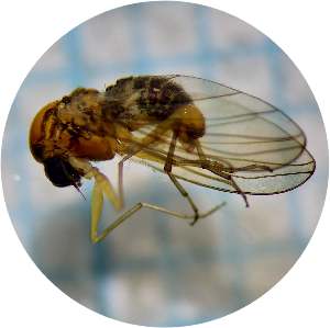  ( - BGE_00242_F09)  @11 [ ] Creative Commons  Attribution Non-Commercial Share-Alike (2024) Faculty of Science, Zagreb, Dept of Biology Faculty of Science, Zagreb, Dept of Biology