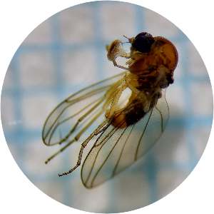  ( - BGE_00242_F10)  @11 [ ] Creative Commons  Attribution Non-Commercial Share-Alike (2024) Faculty of Science, Zagreb, Dept of Biology Faculty of Science, Zagreb, Dept of Biology