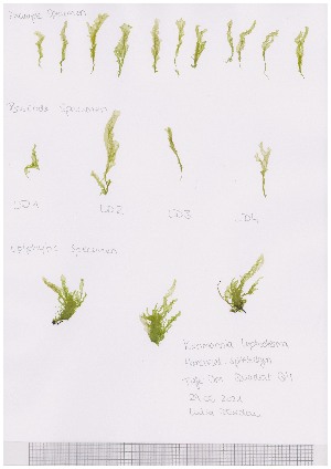  ( - LD00495)  @11 [ ] by-nc (2022) Unspecified Canadian Museum of Nature