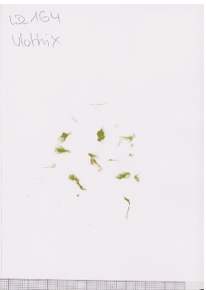  ( - LD00649)  @11 [ ] by-nc (2022) Unspecified Canadian Museum of Nature