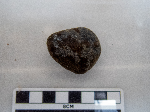  ( - AMS01115)  @11 [ ] by-nc (2022) Unspecified Canadian Museum of Nature