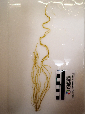  ( - AMS01160)  @11 [ ] by-nc (2022) Unspecified Canadian Museum of Nature