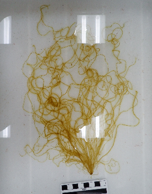  ( - AMS01165)  @11 [ ] by-nc (2022) Unspecified Canadian Museum of Nature