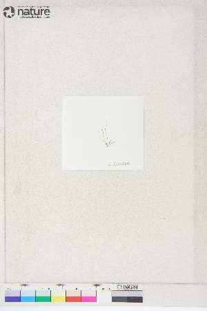  ( - JLC00038)  @11 [ ] by-nc (2022) Unspecified Canadian Museum of Nature