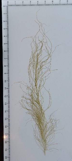  ( - JLC00122)  @11 [ ] by-nc (2022) Unspecified Canadian Museum of Nature