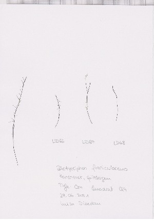  ( - LD00559)  @11 [ ] by-nc (2022) Unspecified Canadian Museum of Nature