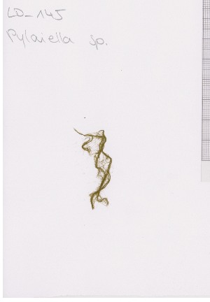  ( - LD00632)  @11 [ ] by-nc (2022) Unspecified Canadian Museum of Nature