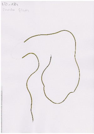  ( - LD00660)  @11 [ ] by-nc (2022) Unspecified Canadian Museum of Nature