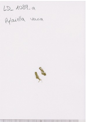  ( - LD00867)  @11 [ ] by-nc (2022) Unspecified Canadian Museum of Nature